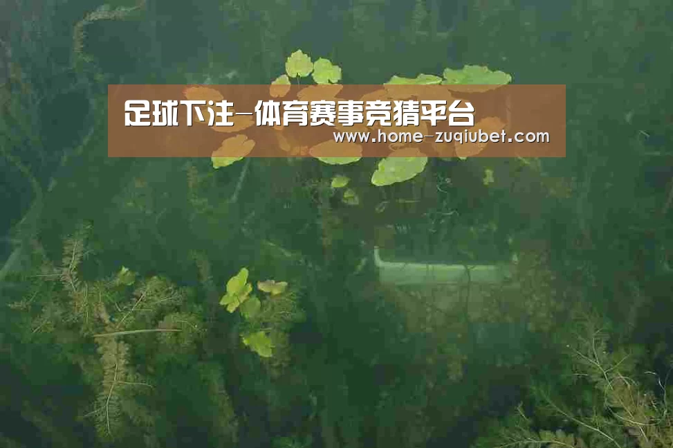 案例展示三(图1)