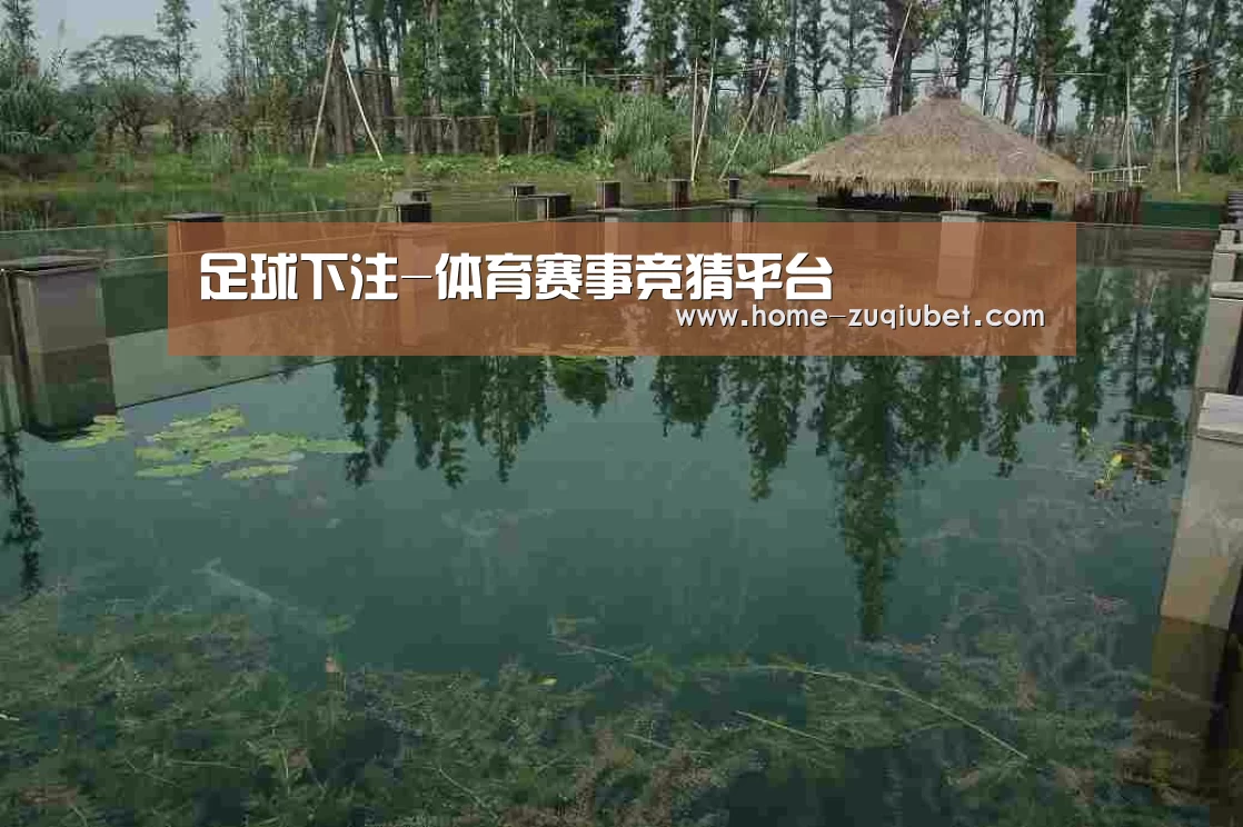 案例展示二