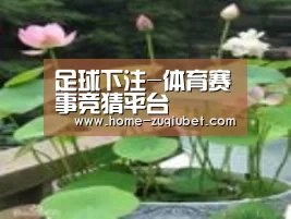 产品名称一