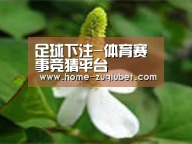 产品名称三